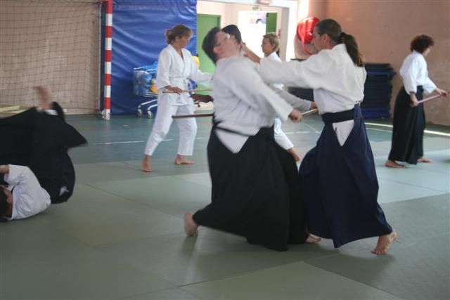 commission technique aikido